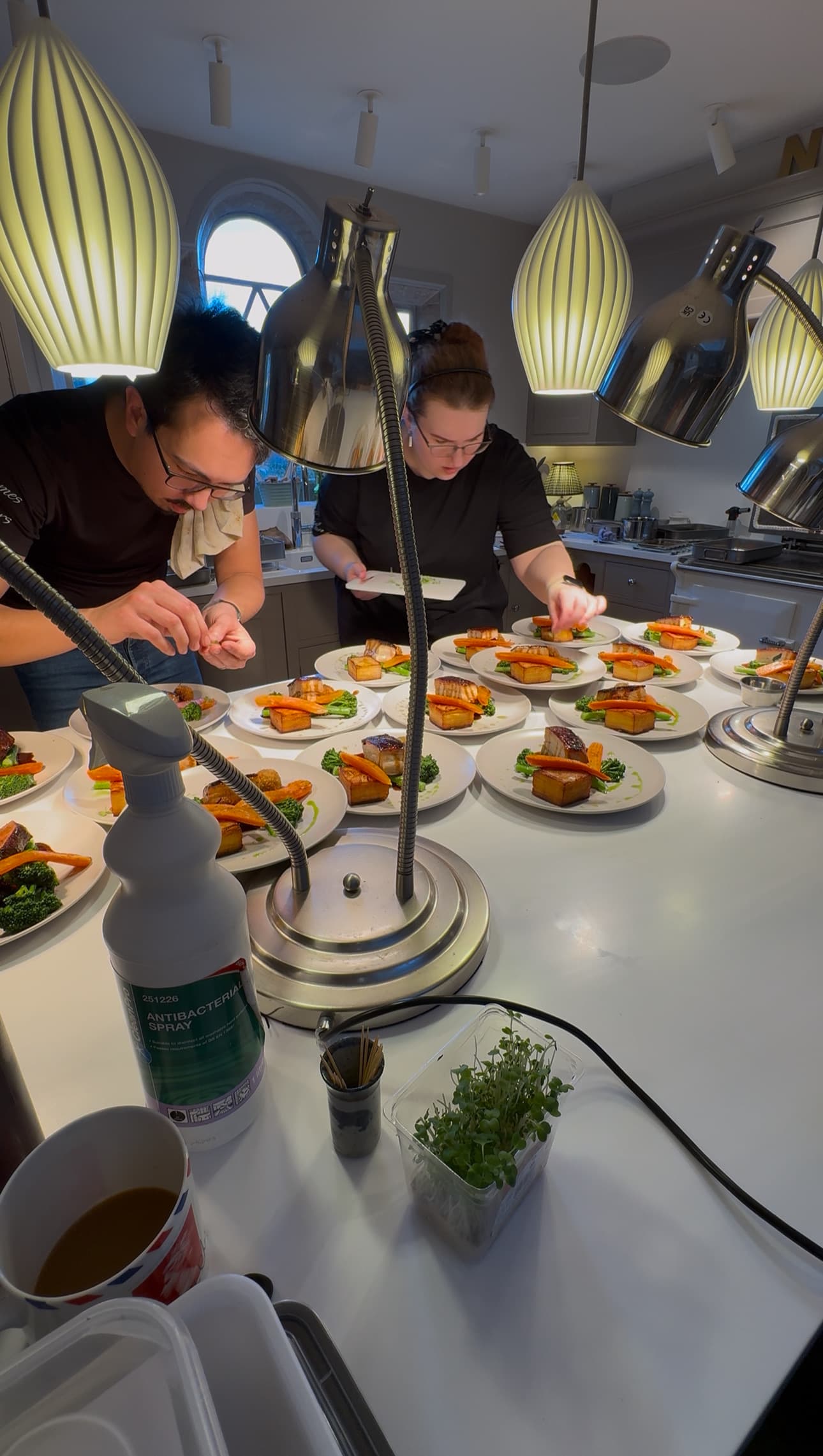 A beautifully plated dish